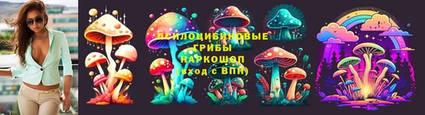 2c-b Горно-Алтайск