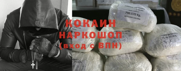 ПСИЛОЦИБИНОВЫЕ ГРИБЫ Вязники