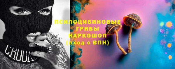 2c-b Горно-Алтайск