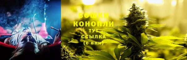 гидропоника Вяземский