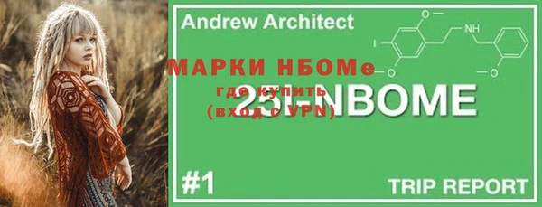 2c-b Горно-Алтайск